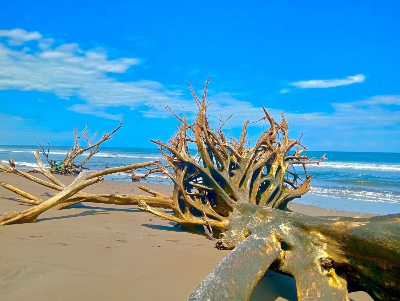 Paisaje costero de Papayal Playa, Tumaco