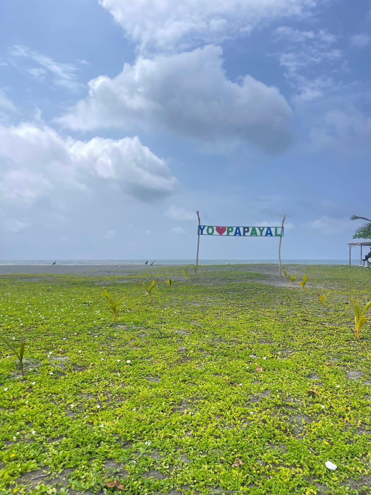 Pasadía Comunitario Papayal Playa